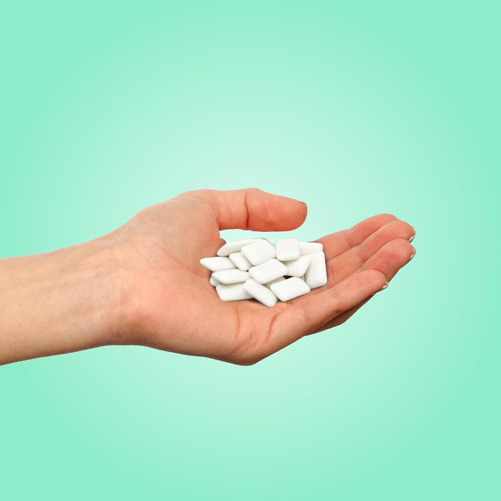 PUR Gum | Aspartame Free Chewing Gum | 100% Xylitol | Natural Chocolate Mint Flavored Gum, 55 Pieces (Pack of 6)