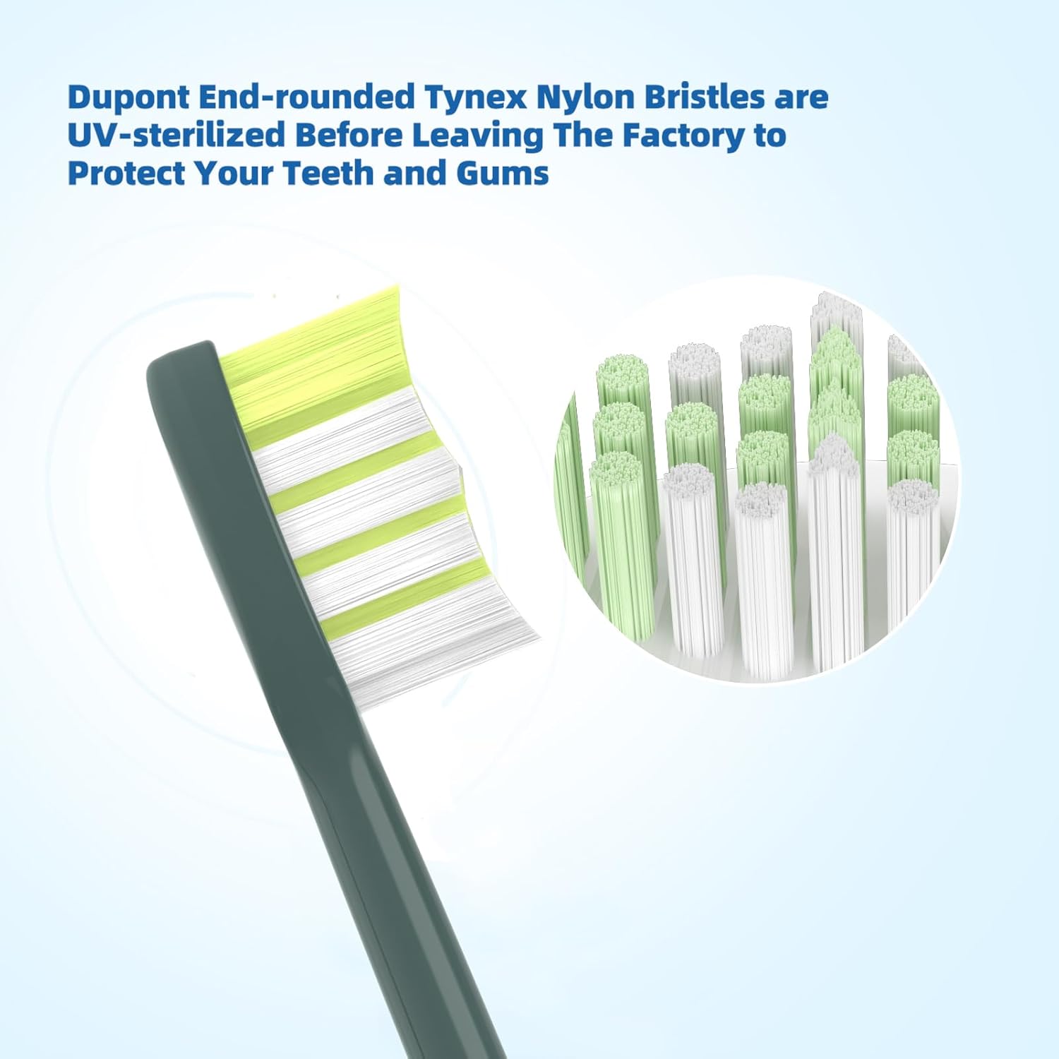 One Series Replacement Toothbrush Heads Pisonicleara Compatible with sonicare Philips One Series BH1022/03 HY1100/02 HY1102 (8-pc) Battery Brush, Mango Snow White Travel Refill (one-sage)