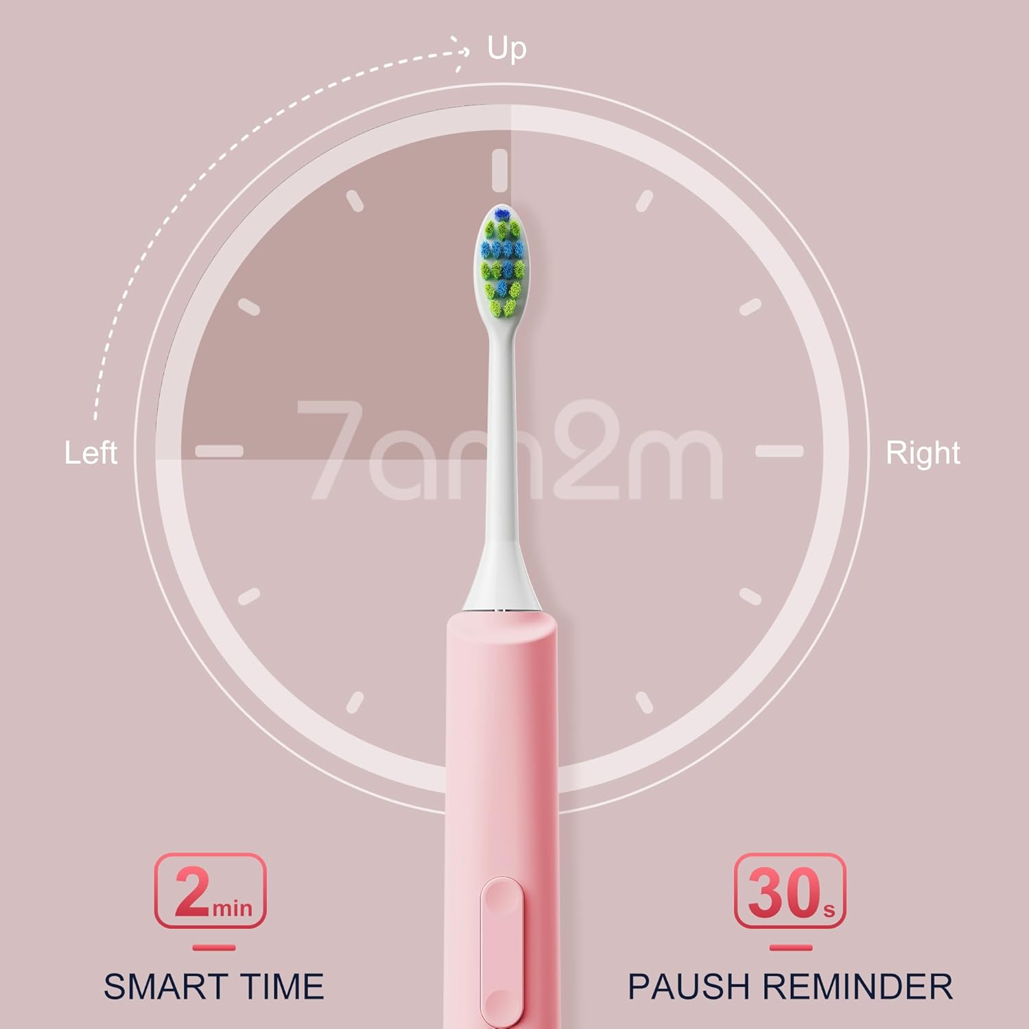 7AM2M Sonic Electric Toothbrush, High Power Rechargeable Toothbrushes, 5 Modes with 2 Minutes Built in Smart Timer, with 4 Brush Heads for Adults and Kids, One Charge for 60 Days (Pink)