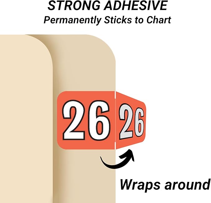 2026 Year Stickers, Doctor Stuff 2026 Chart Stickers, Coral/Black Color Coded, Colwell Jewel Tone Style, USA Made Year Labels for End Tab File Folders, 500/Roll, 1 Roll, 3/4" x 1-1/2"