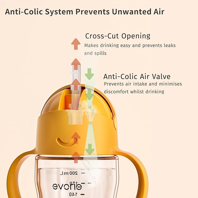 Evorie Tritan Weighted Straw Sippy Cup with Handles for Baby and Toddlers, Spill Proof Baby Water Bottle with Straw for 6 months and up, 7 Oz, Infant Training Water Bottle (Mint)