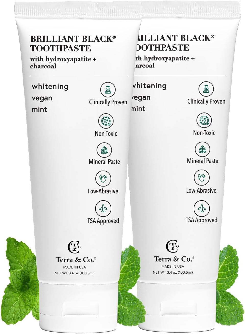 Terra & Co. Brilliant Black Hydroxyapatite Toothpaste for Whitening Teeth – USA-Made - Natural Remineralizing Toothpaste, Fluoride-Free, Vegan, SLS-Free, Low Abrasion – Mint, 3.4 oz