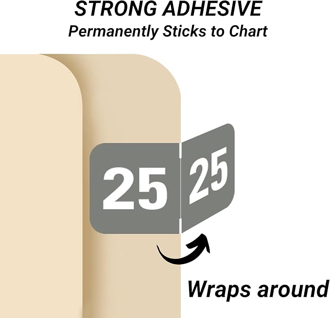 2025 Year Labels, Doctor Stuff 2025 Chart Stickers, Gray Color Coded, Tabbies 70200 Style, USA Made Year Stickers for End Tab File Folders, 500/Roll, 1 Roll, 3/4" x 1-1/2"