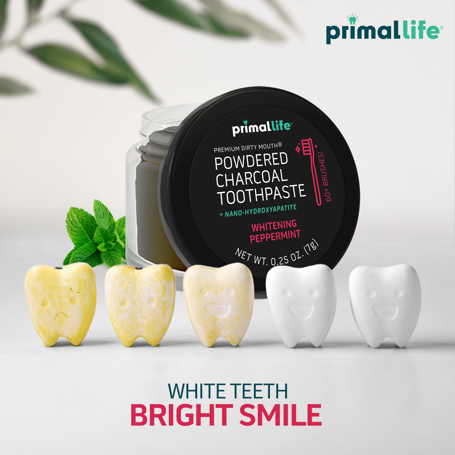 Primal Life Organics -Dirty Mouth Toothpowder, Activated Charcoal Tooth Cleaning Powder, Essential Oils, Hydroxyapatite, Kaolin, Bentonite Clay, 60+ Brushings, Organic, Vegan Black Peppermint 0.25oz