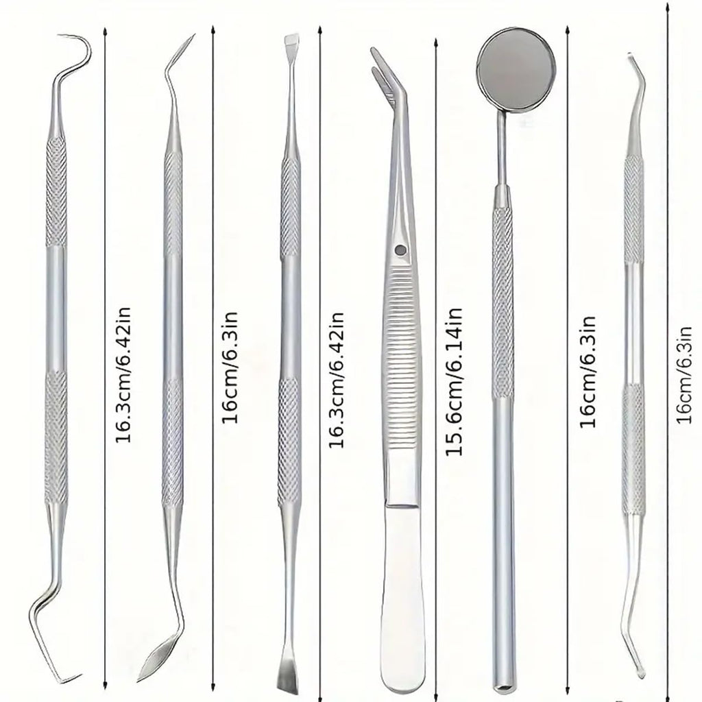 Stainless Steel Dental Kit - 6 Pack Dental Tools with Tooth Mirror, Dental Hygiene Kit for Adults, Kids, Dogs with Mirror, Picks, Travel Case (Blue)