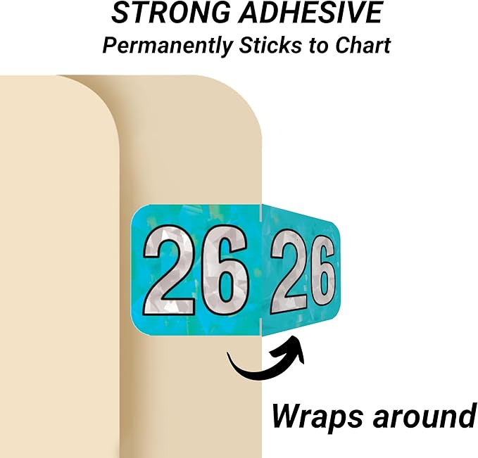 2026 Year Stickers, Doctor Stuff 2026 Chart Stickers, Holographic Aqua Colored, USA Made Year Labels for End Tab File Folders, 500 Labels per Roll, 1 Roll, 3/4" x 1-1/2"