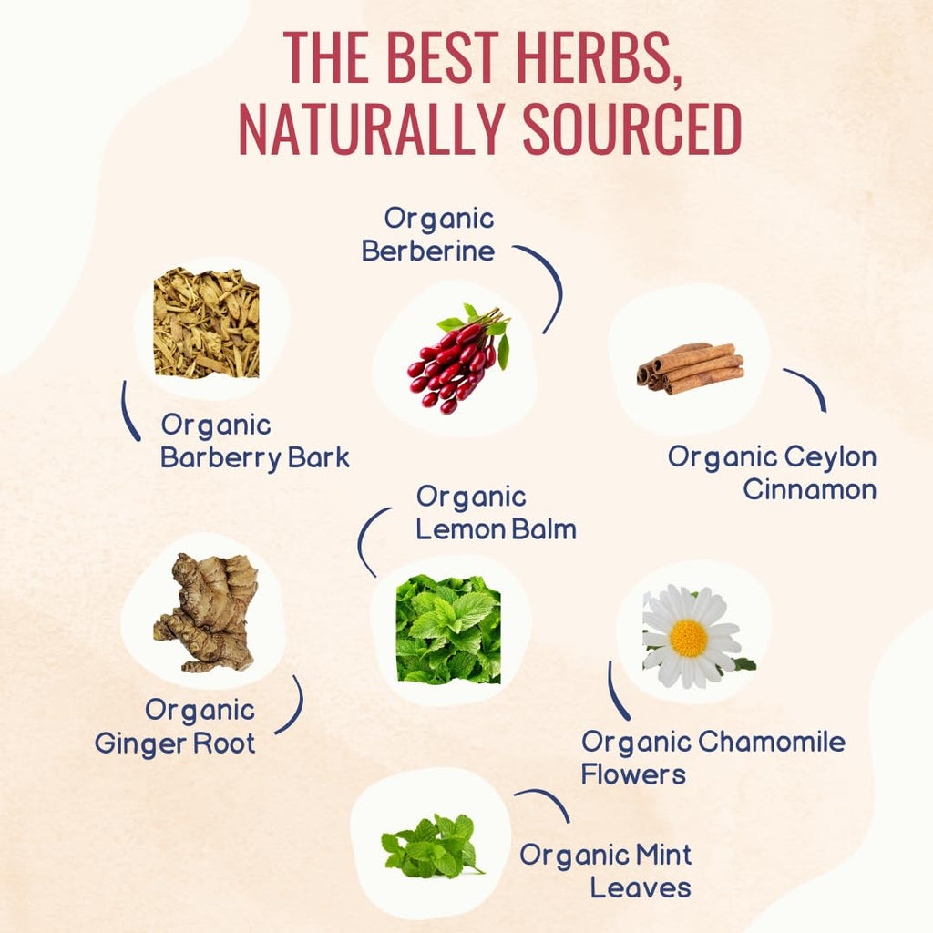 Organic Berberine Tea – Herbal Tea Promotes Health with Ceylon Cinnamon, Mint & Chamomile – 30 Tea Bags