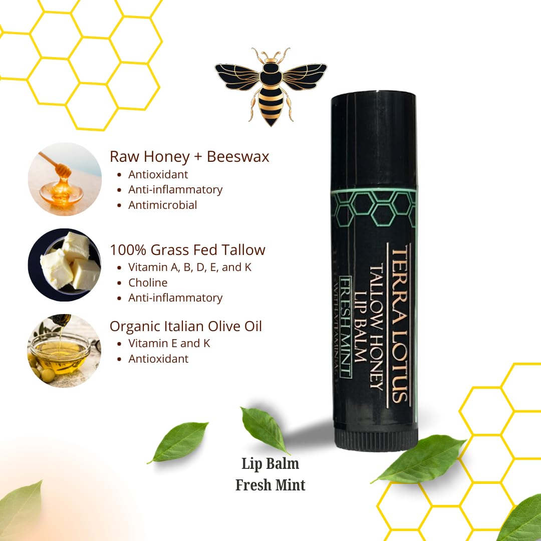 Organic Tallow Lip Balm (5 Pack) - Hydrating With Organic Italian Olive Oil, Pure Grass Fed Tallow, and Beeswax - Long Lasting Lip Therapy (5 Pack, Fresh Mint)
