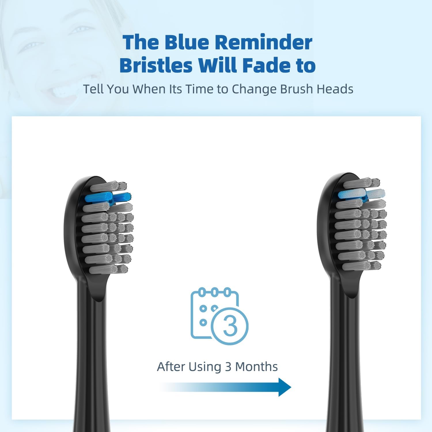 Replacement Flossing Toothbrush Heads(6-pc) Fit for Waterpik Sonic Fusion 2.0 SF-01, SF-02, SF03 & SF-04 Tooth Brush Refill Pisoniclea(SF-Black)