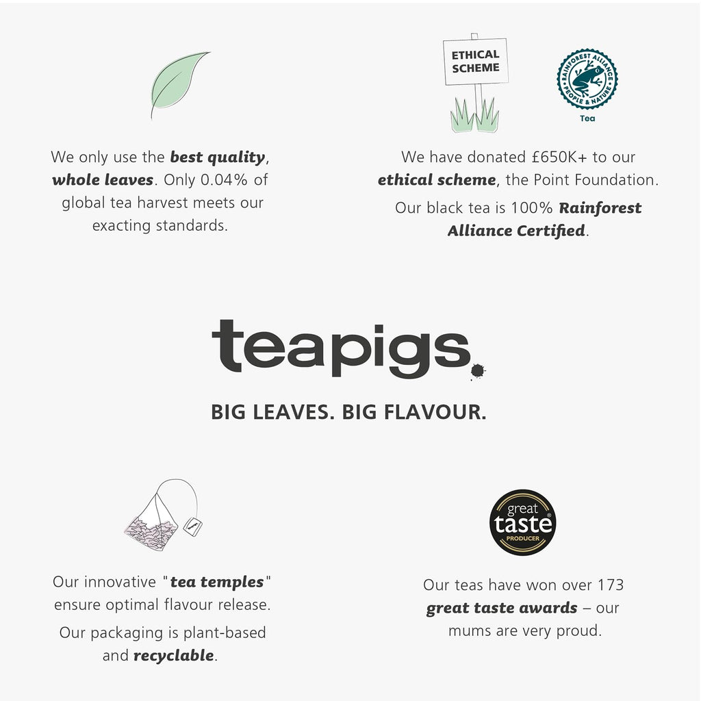 Teapigs Peppermint Leaves Tea Bags Made with Whole Leaves, Caffeine-Free, Natural Ingredients (1 Pack of 50 Teabags)