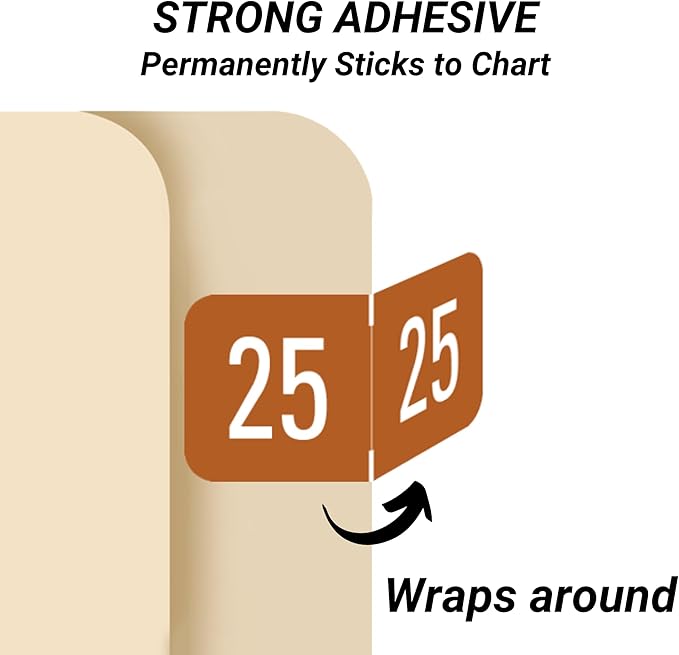 2025 Year Stickers, Doctor Stuff 2025 Chart Stickers, Brown Color Coded, GBS/VRE Style, USA Made Year Labels for End Tab File Folders, 500 Labels/Roll in a Dispenser Box, 3/4" x 1-1/2"