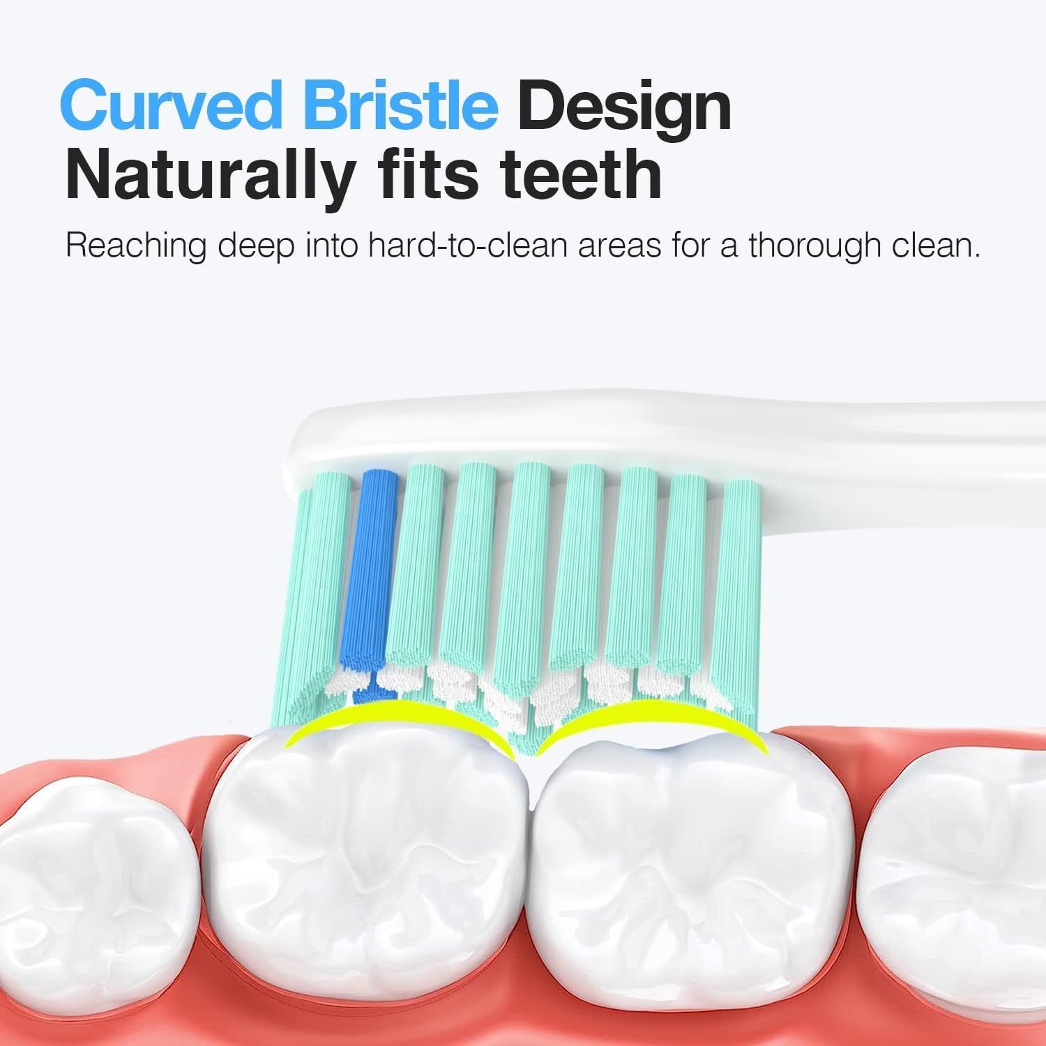 Replacement Toothbrush Heads for Philips Sonicare Replacement Heads E-Series, Essence, Xtreme, Electric Replacement Brush Head for Phillips Sonicare, for Philips Sonic Care Toothbrush,Green & White