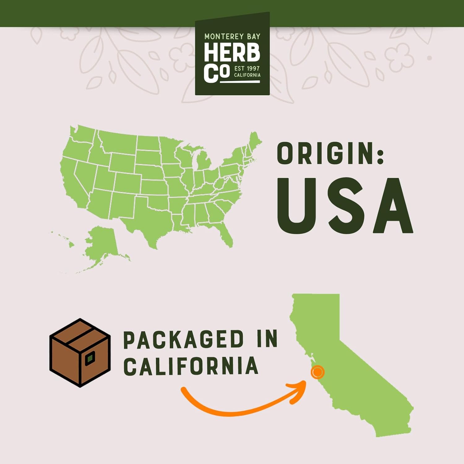 Monterey Bay Herb Co. Peppermint Tea | 50 Tea Bags | Caffeine Free | Bulk Tea | Soothes Digestion & Belly | Herbal Tea