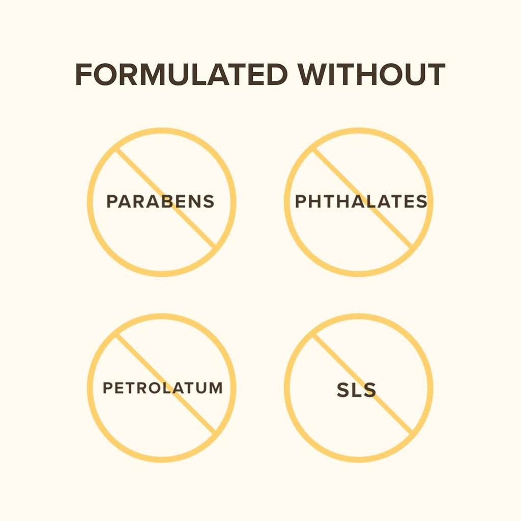 Burt's Bees Lip Balm Stocking Stuffers, Moisturizing Lip Care Christmas Gifts, for Dry Chapped Lips, Medicated with Menthol & Eucalyptus, Natural Origin Lip Care (4-Pack)