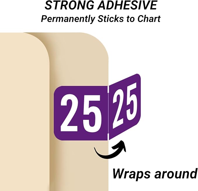 2025 Year Stickers, Doctor Stuff 2025 Chart Stickers, Purple Color Coded, STS/SFI Style, USA Made Year Labels for End Tab File Folders, 500/Roll, 1 Roll, 3/4" x 1-1/2"
