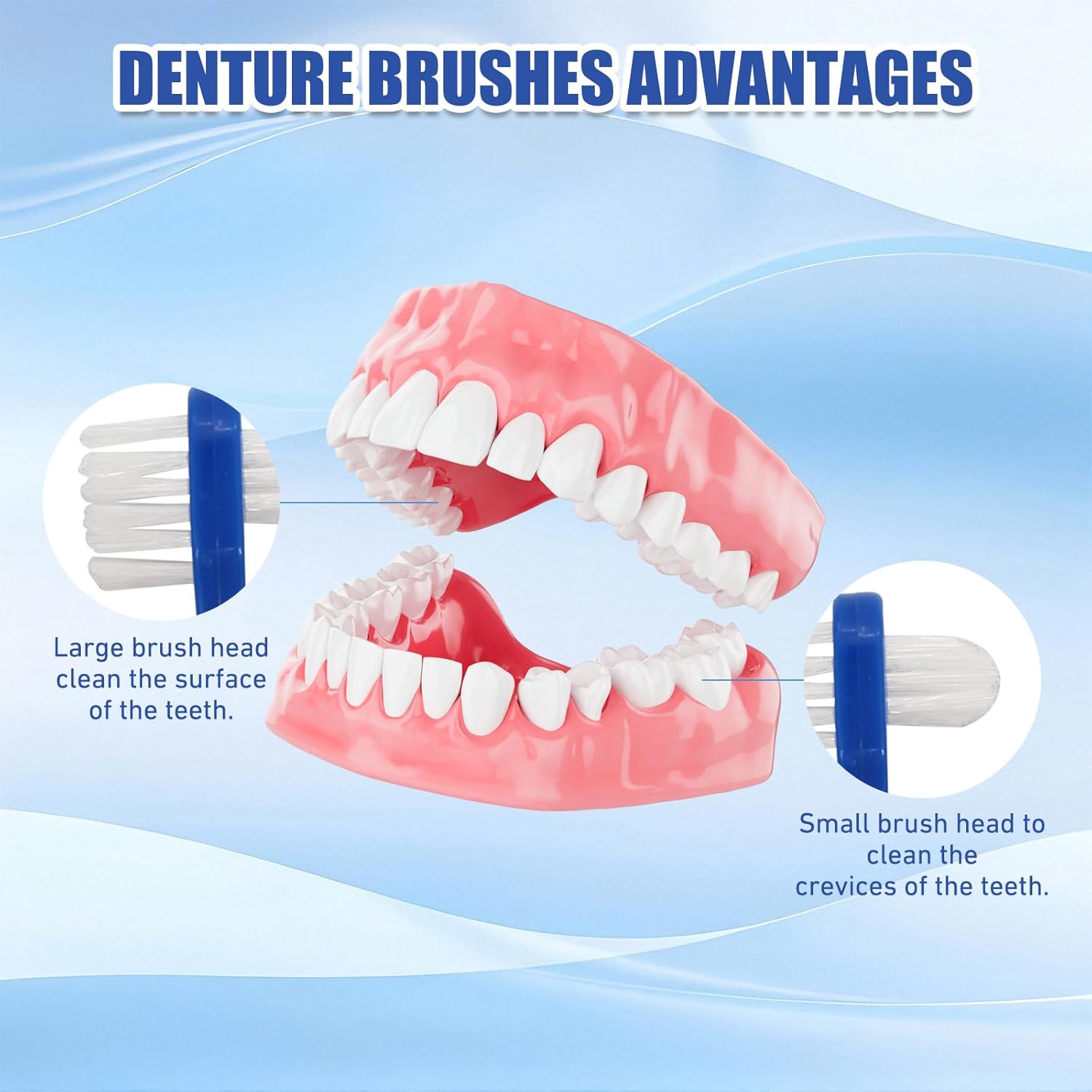 12pcs Denture Brush Dual, Head Portable Firm Hard Bristle Denture Toothbrush,Denture Cleaning Brush Retainer Brush Dental Toothbrush for False Teeth, Clear Braces and Mouth Guards(White,Blue, Red）
