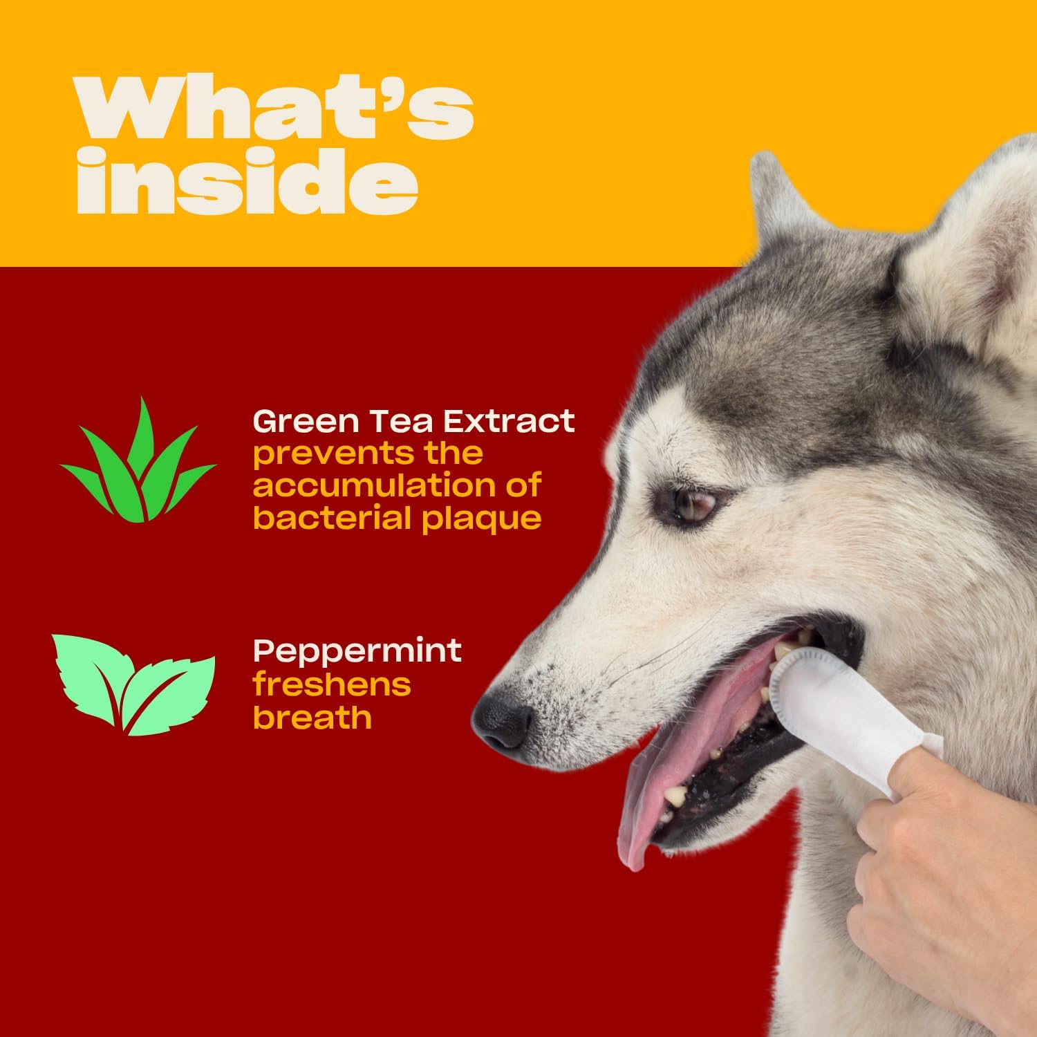 OH NORMAN! Dog Dental Wipes - Vet-Approved Pet Dental Finger Wipes for Oral Hygiene & Fresh Breath - Alternative to Finger Toothbrush for Dogs - No Fuss Dog Cleaning Supplies for Daily Use - 50 pcs