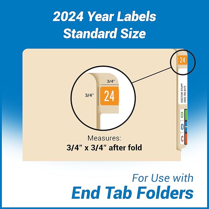 2024 Year Stickers, Doctor Stuff 2024 Chart Stickers, Orange GBS/VRE Style, USA Made Year Labels for End Tab File Folders, 500 Labels/Roll in a Dispenser Box, 3/4" x 1-1/2"