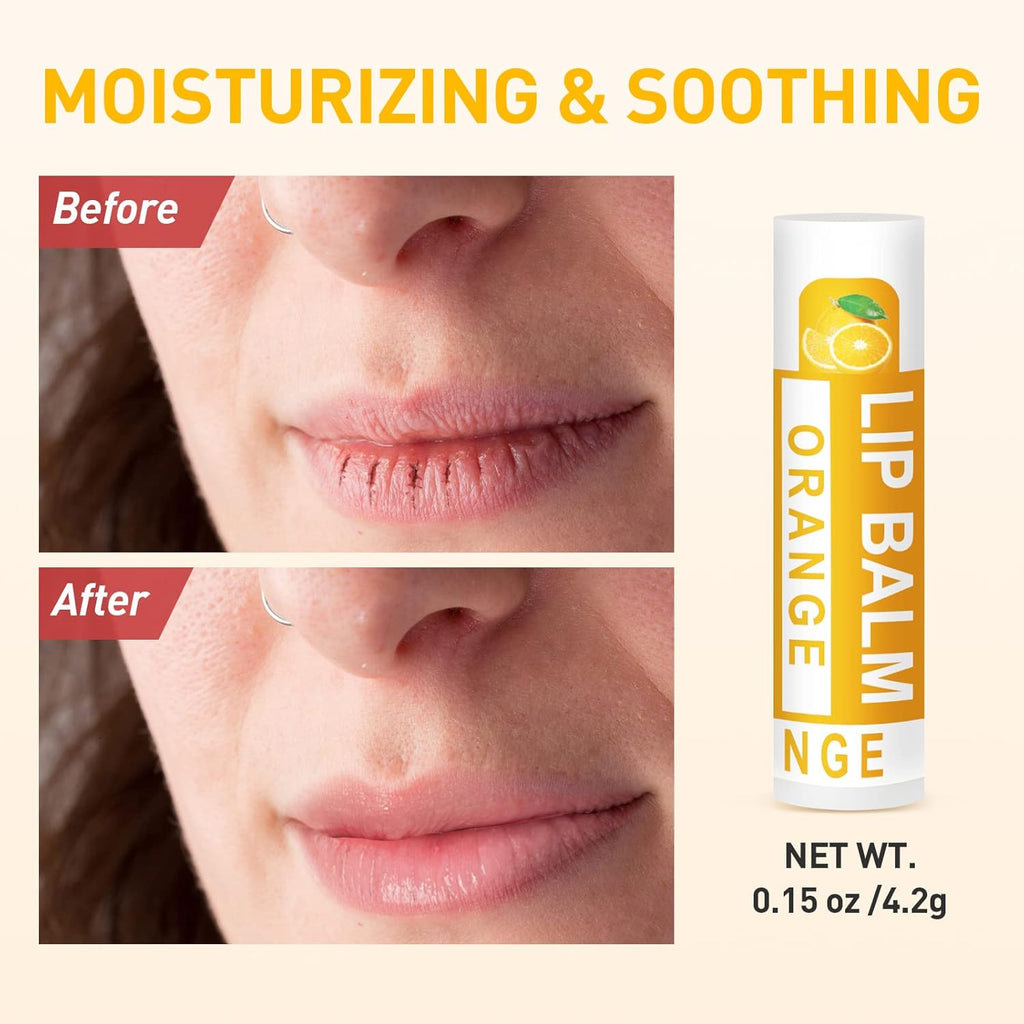 DMSKY Natural Lip Balm Bulk 24 Pack, Moisturizing Lip Balm with Vitamin E and Coconut Oil, Lip Care Product for Chapped Lips-12 Flavors