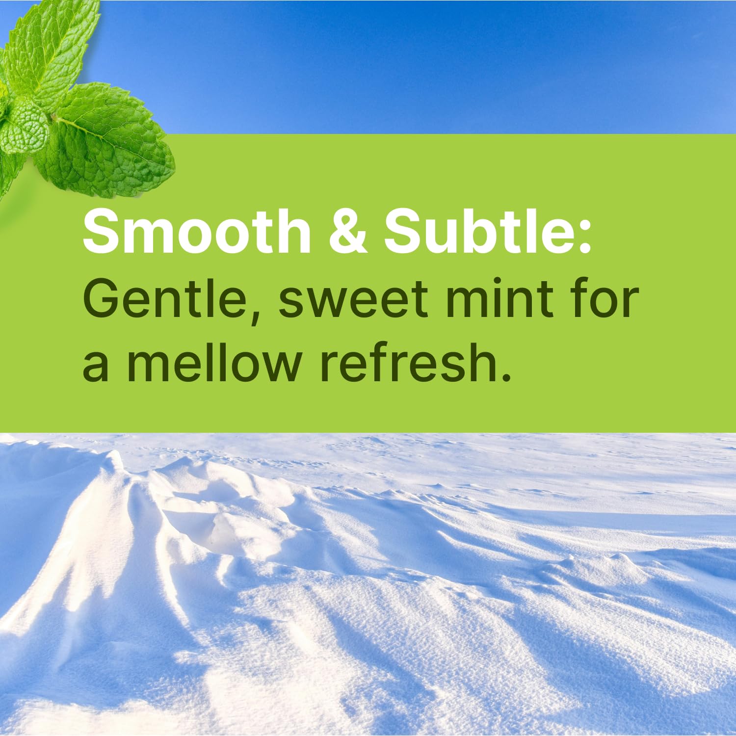 Spearmint KETO Xylitol Candy Chips (3-Pack) - SNØ 1.5oz Tin - Sugar-Free Candy With Only 2 Ingredients | Low Carbs, Diabetic-Friendly, Non-GMO, Vegan, GF & Kosher | Purest candy in the world!