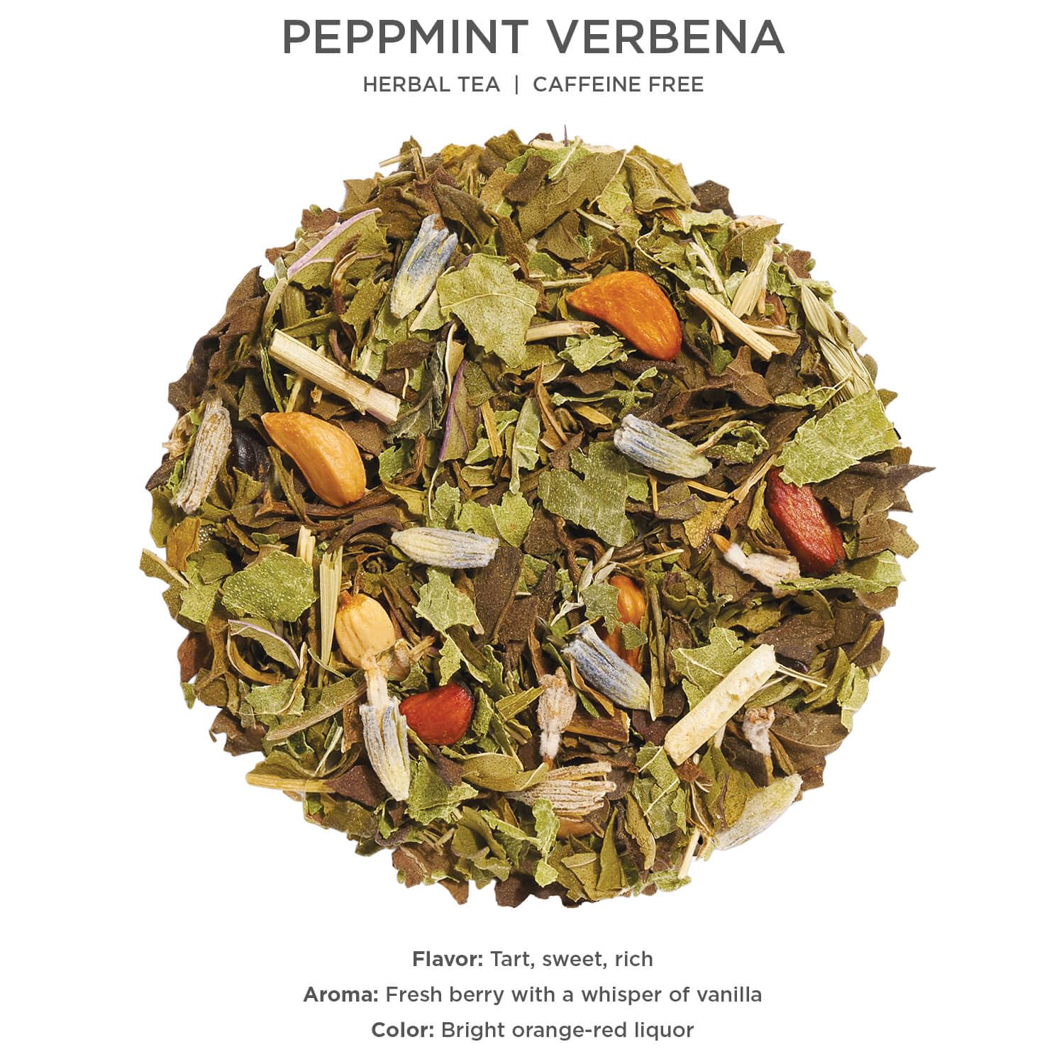 Tea Forte Peppermint Verbena Premium Loose Leaf Caffeine-Free Herbal Tea Blend Canister, Makes 35-50 Cups
