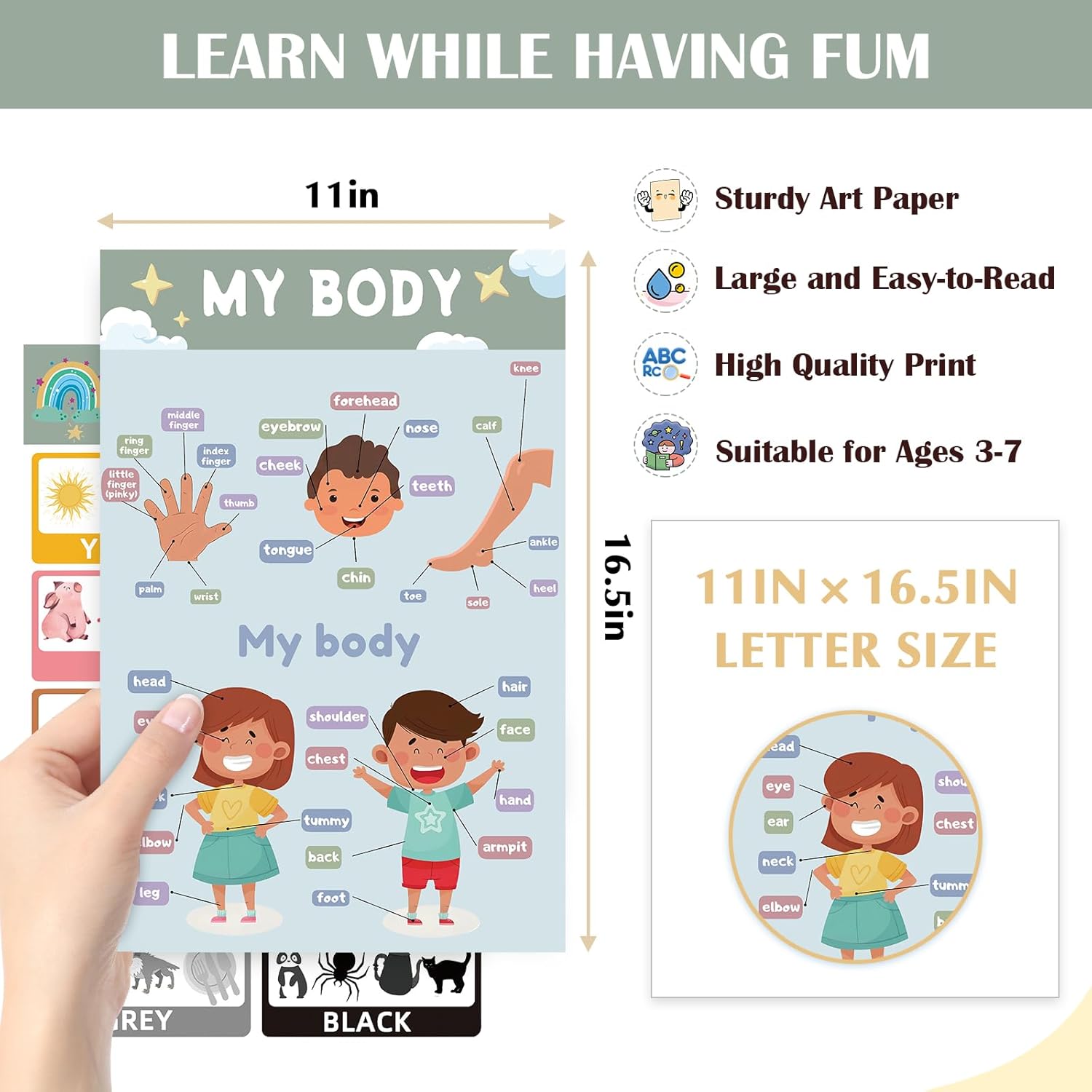 16 Educational Posters for Preschoolers, Laminated PreK Learning Poster Charts for Toddlers 1-3, Learning Wall Charts for Kids’ Bedroom, Playroom, Preschool, Kindergarten and Homeschool (Morandi B)