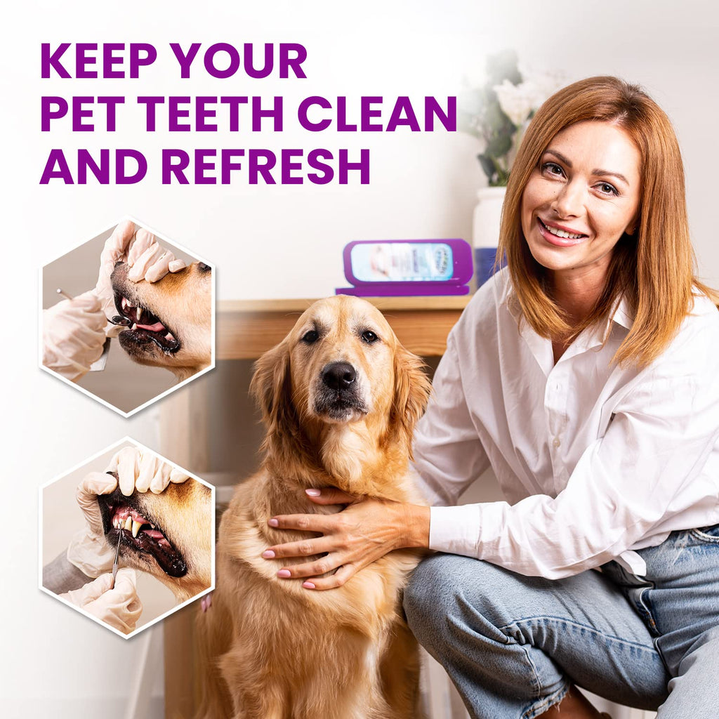 Dental Duty Dental Tools, Dental Pick for Teeth Cleaning Tools – Plaque Remover for Teeth with Teeth Cleaning Kit - Stainless Steel Dental Mirror for Teeth, Scraper and Scaler, (Purple)