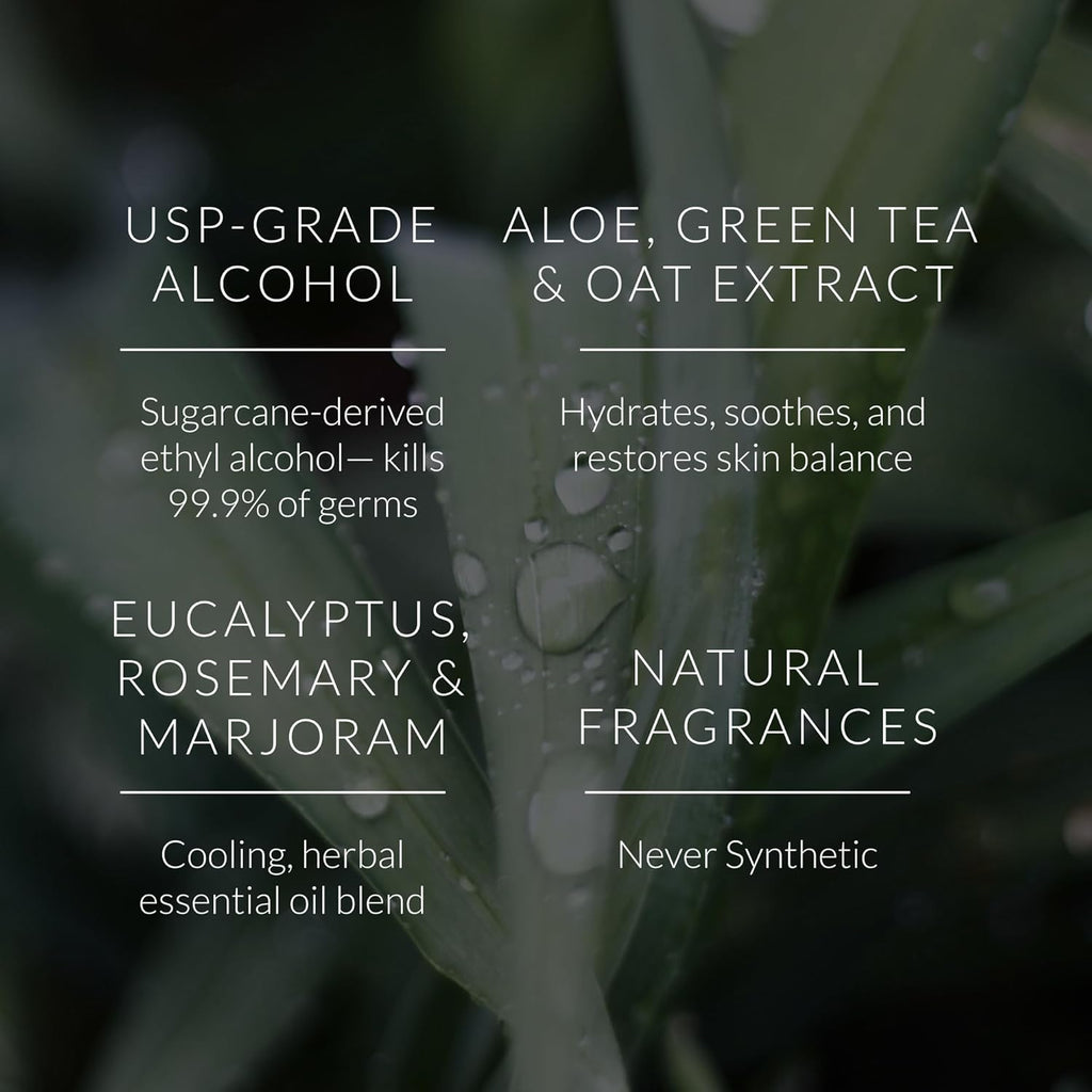 Noshinku Eucalyptus Hand Sanitizer Wipes, 3-Pack (45 Towelettes) – Resealable Travel Wipes with Ethyl Alcohol, Aloe & Green Tea, Plant-Based Fiber, Essential Oil Scents, Cruelty-Free & No Dyes