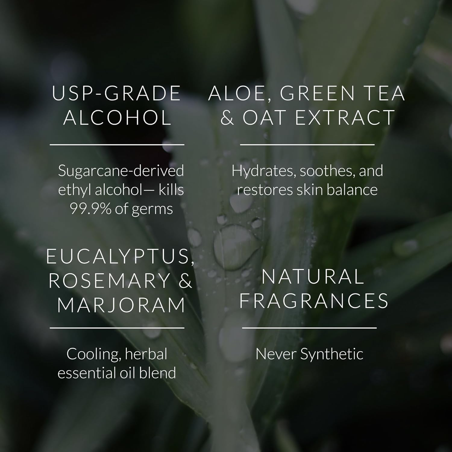 Noshinku Eucalyptus Hand Sanitizer Wipes, 3-Pack (45 Towelettes) – Resealable Travel Wipes with Ethyl Alcohol, Aloe & Green Tea, Plant-Based Fiber, Essential Oil Scents, Cruelty-Free & No Dyes