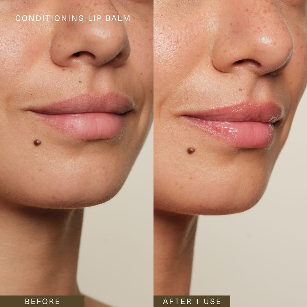 Oak Essentials Conditioning Lip Balm | Nourishing Antioxidant Lip Care with Shea Butter & Botanical Oils | Clean Moisturizing Balm for Dry, Chapped Lips, 3.6g