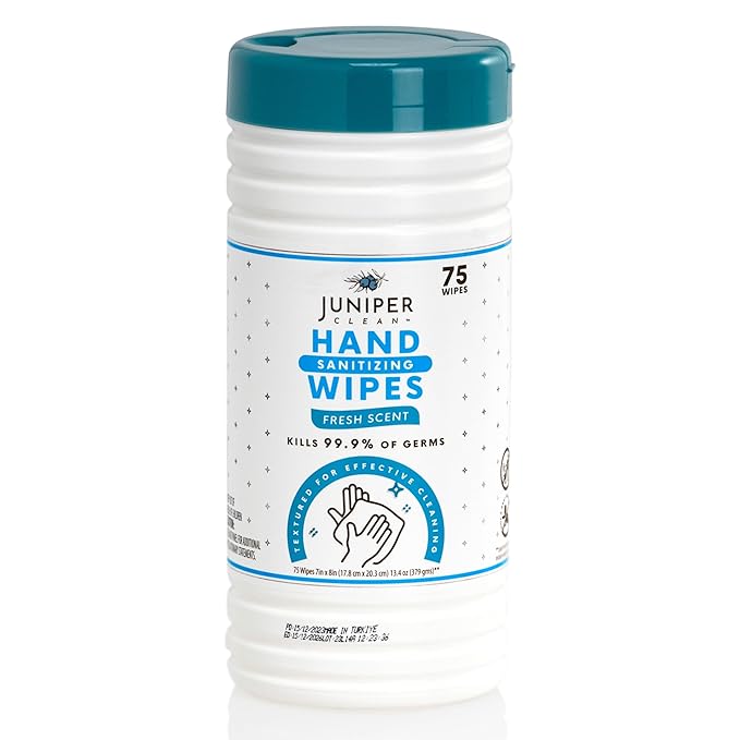 4 Pack Hand Sanitizing Wipes, 300 Count Canister Disposable Hand Sanitizer Wipes, Fresh Scent, Lint Free & Durable