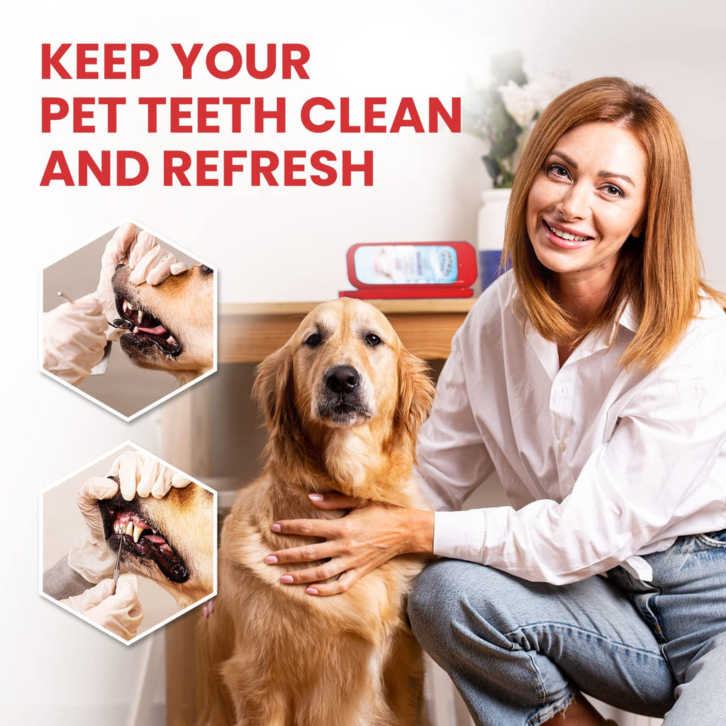 Dental Duty Dental Tools, Dental Pick for Teeth Cleaning Tools – Plaque Remover for Teeth with Teeth Cleaning Kit - Stainless Steel Dental Mirror for Teeth, Scraper and Scaler, (Red)