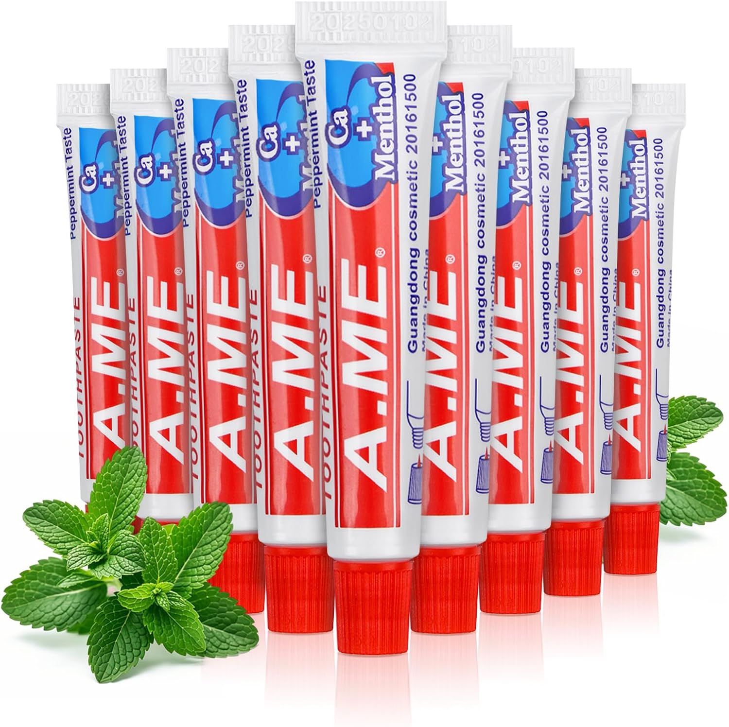 Toothpaste Bulk Travel Size, Disposable Small Travel Portable Mini Compact Pocket Size Toothpaste for Bad Breath, Vacation/Hotel/Camping Shelter/Homeless/Nursing Home/Charity 0.35 oz/ 10g (60 Tubes)