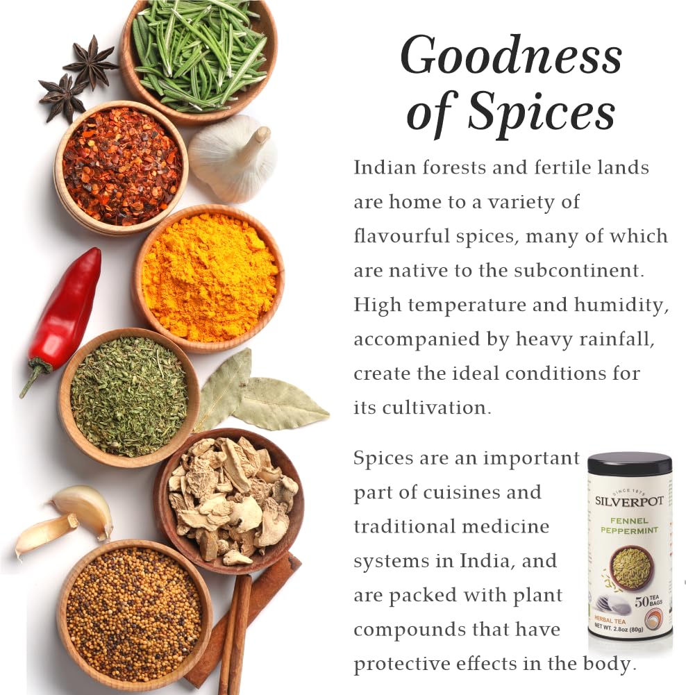Silverpot Fennel & Peppermint - 50 Round Tea Bags | Naturally Caffeine Free | Fennel Seeds, Cooling Mint | Reusable Tin