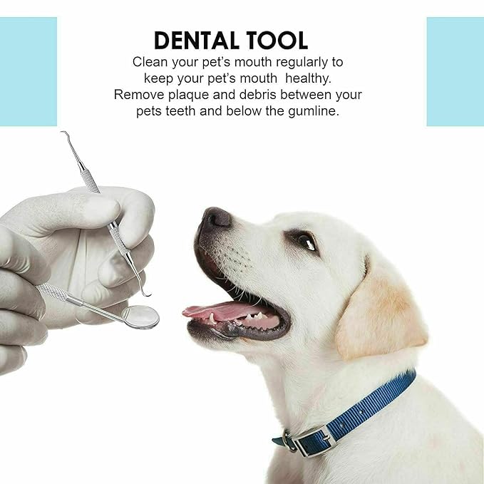 Professional Dental Tools - Dental Pick, Dental Scaler for Tartar Plaque Remover Tooth Cleaner Teeth Scraper Dentist Hygienist Kit Sickle Scaler Teeth Cleaning Set Stainless Steel 1 Pc By Krisp Beauty