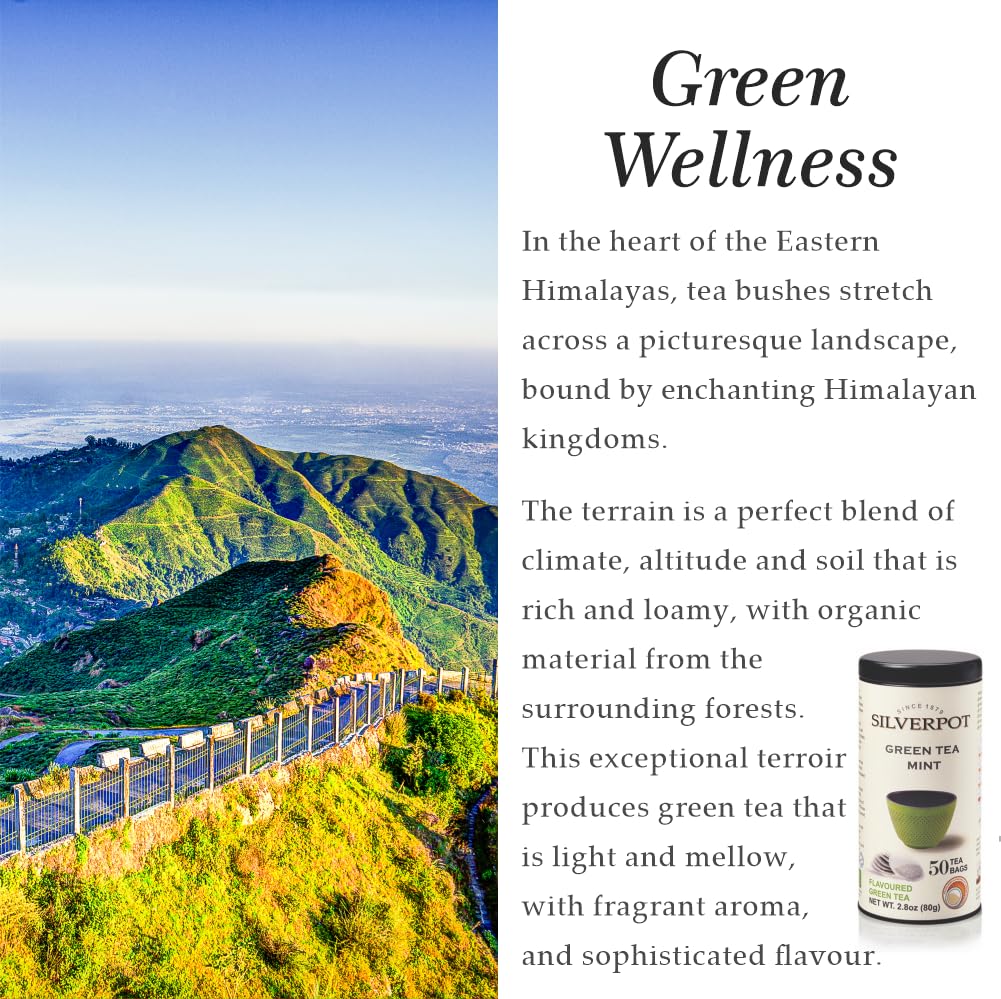 Silverpot Green Tea & Mint - 50 Round Tea Bags | 100% Natural, Peppermint | Caffeinated | Antioxidant Rich | Reusable Tin