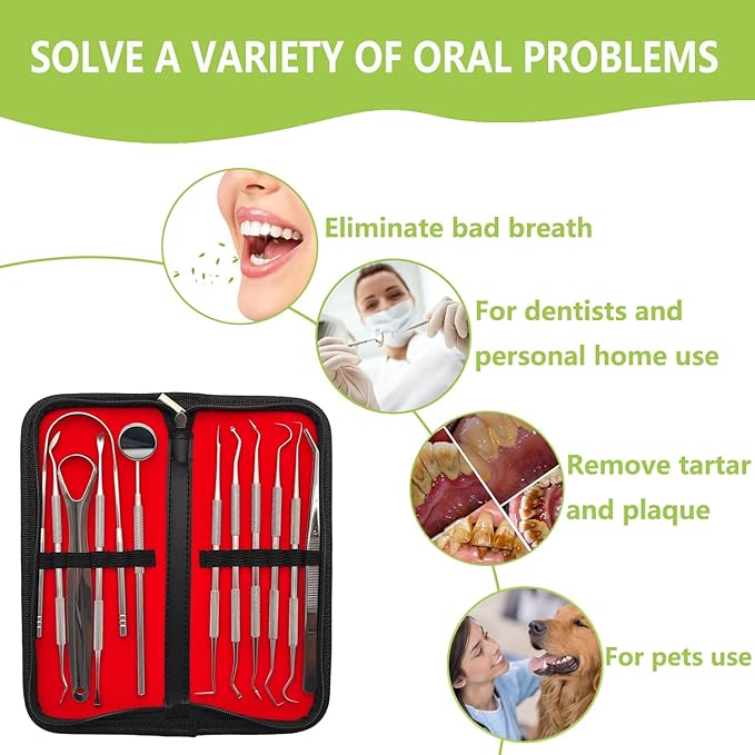 11 Pack Dental Tools PARYUNGR Teeth Cleaning Tool Kit, Stainless Steel Tongue Scraper Tartar Plaque Remover Tooth Cleaner Dental Floss Picks Mouth Mirror, Professional Oral Care Hygiene Set with Case