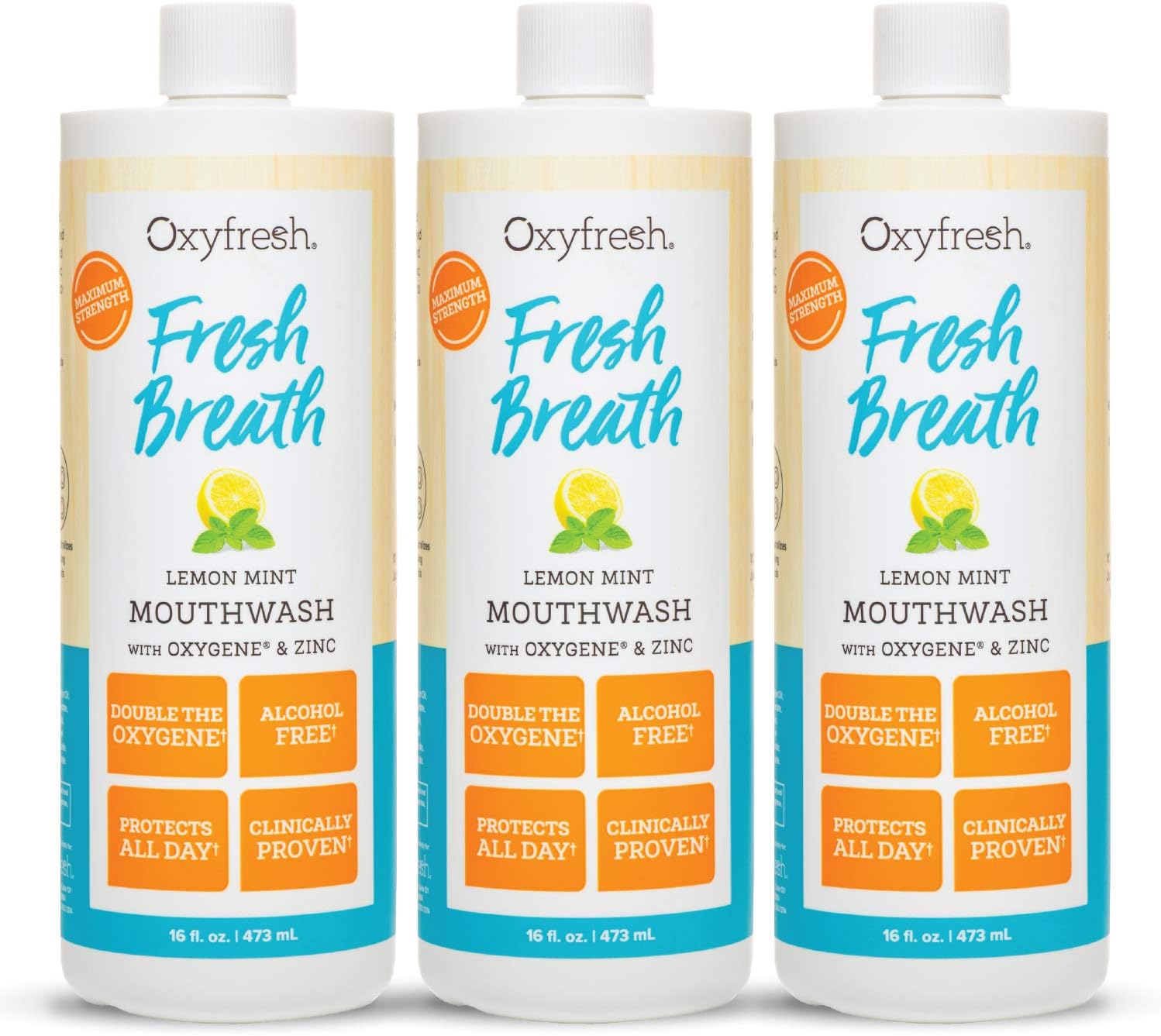 Oxyfresh Lemon Mint Fresh Breath Mouthwash – Bad Breath Treatment – SLS & Fluoride Free – Alcohol Free, Gentle Nonburning with Xylitol & Essential Oils – 16 Fl Oz (Pack of 3)
