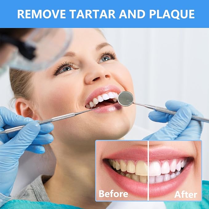 Dental Tools, Professional Plaque Remover Teeth Cleaning Tool Kit, Stainless Steel Dental Pick Tartar Scraper Tooth Cleaner, Oral Care Hygiene Set for Dentist Personal Pets with Storage Box