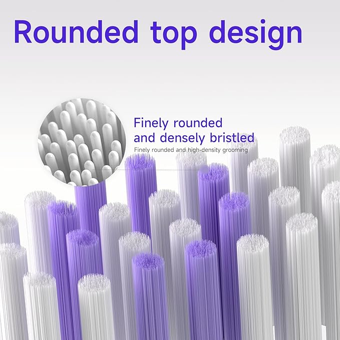 Dr.Hiseki Sonic Electric Toothbrush for Adults - 38000 VPM Deep Clean and 4 Cleaning Modes, Rechargeable Toothbrush, 3-Hour Fast Charge, 60 Days Long Battery Life. IPX7 Waterproof (White)