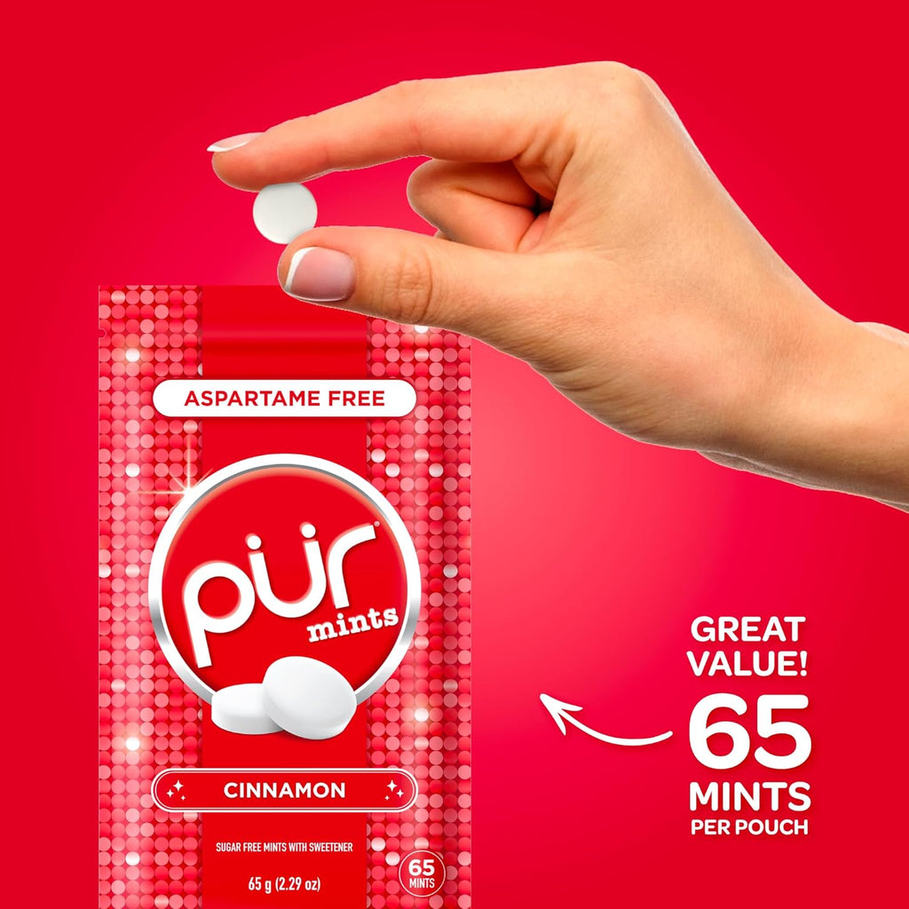 PUR Mints | Aspartame Free Breath Mints | Made with Xylitol | Sugar Free, Vegan, Gluten Free | Natural Cinnamon Flavor | 65 Pieces in Re-Sealable pouch (Pack of 1)