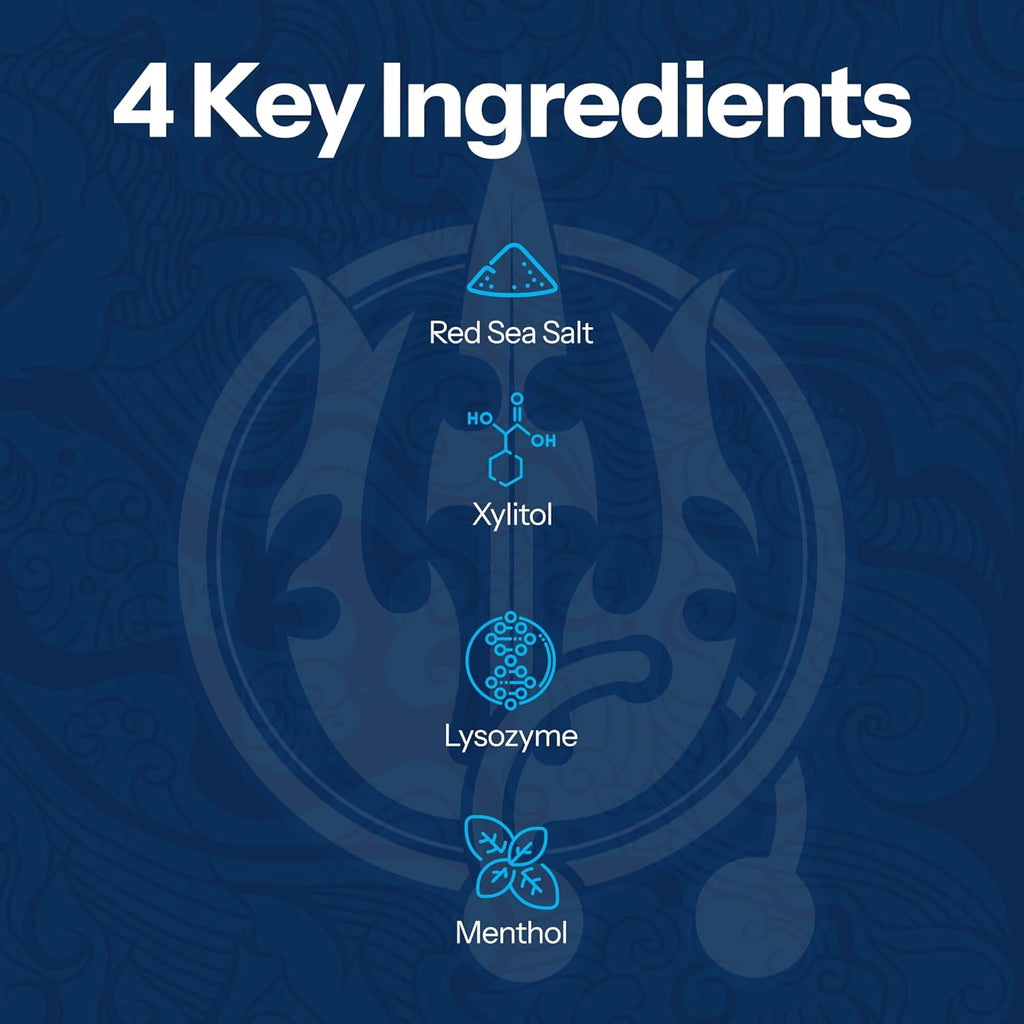 H2Ocean Healing Rinse Mouthwash - Great Tasting Sea Salt & Xylitol Mouth Wash for Fresh Breath & Dry Mouth - Alcohol & Fluoride Free - Arctic Ocean Mint 8oz (Pack of 2)