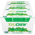 Xylichew 100% Xylitol Chewing Gum - Non GMO, Non Aspartame, Gluten Free, and Sugar Free Gum - Natural Oral Care, Relieves Bad Breath and Dry Mouth - Spearmint, 288 Count