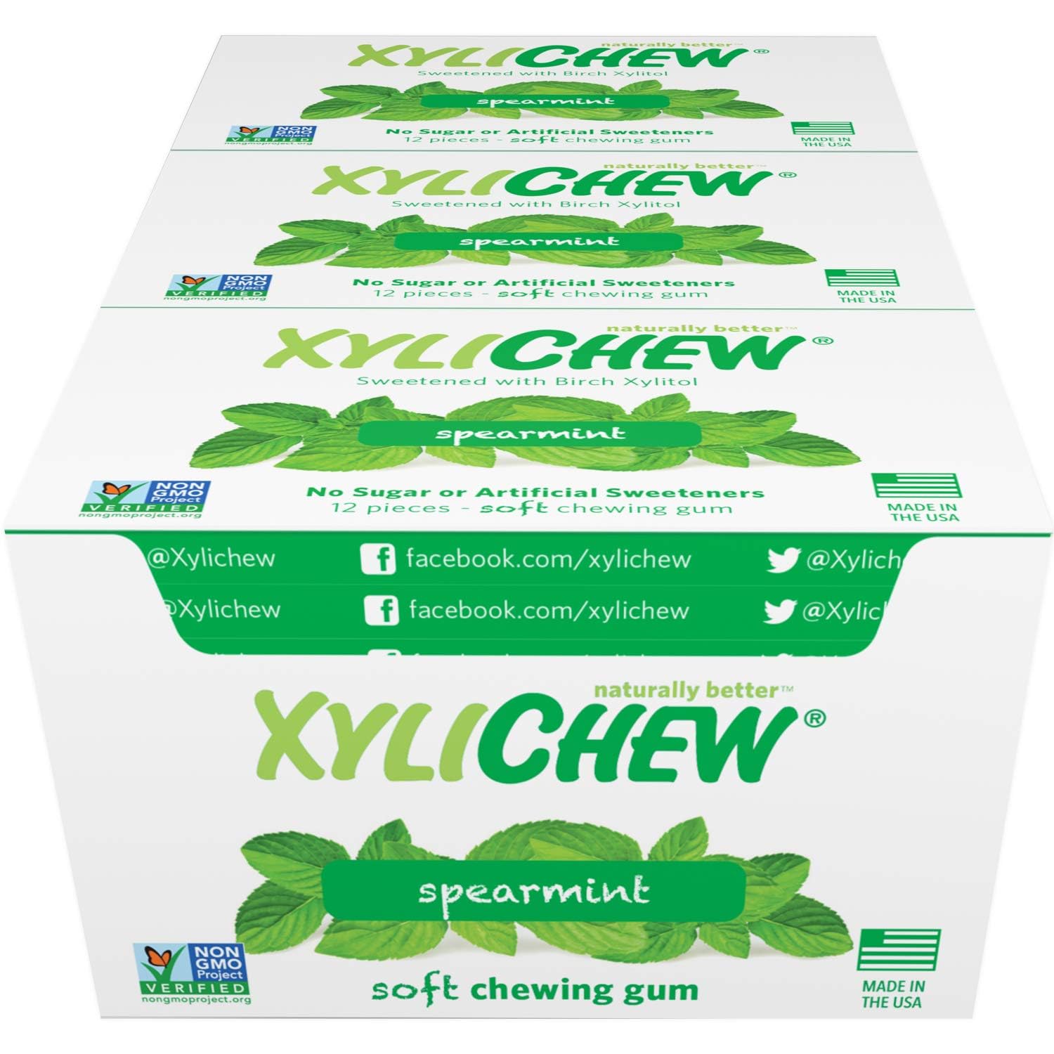 Xylichew 100% Xylitol Chewing Gum - Non GMO, Non Aspartame, Gluten Free, and Sugar Free Gum - Natural Oral Care, Relieves Bad Breath and Dry Mouth - Spearmint, 288 Count