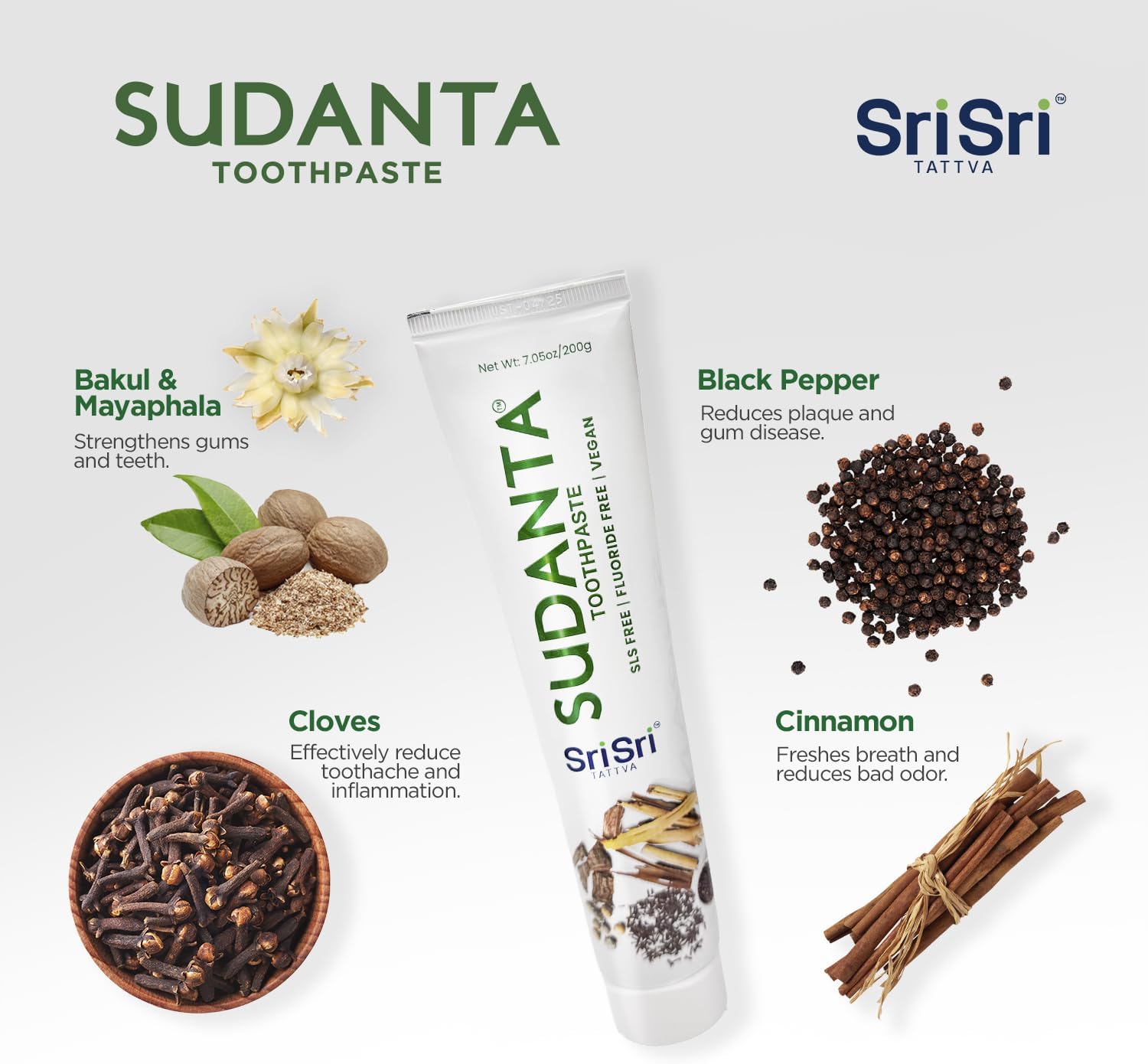 Sri Sri Tattva Sudanta Herbal Toothpaste for Oral Care Protection - Fluoride Free Ayurvedic Toothpaste to Strengthen Teeth and Gums Without Causing Sensitivity - All Natural, 200g (1 Pack)
