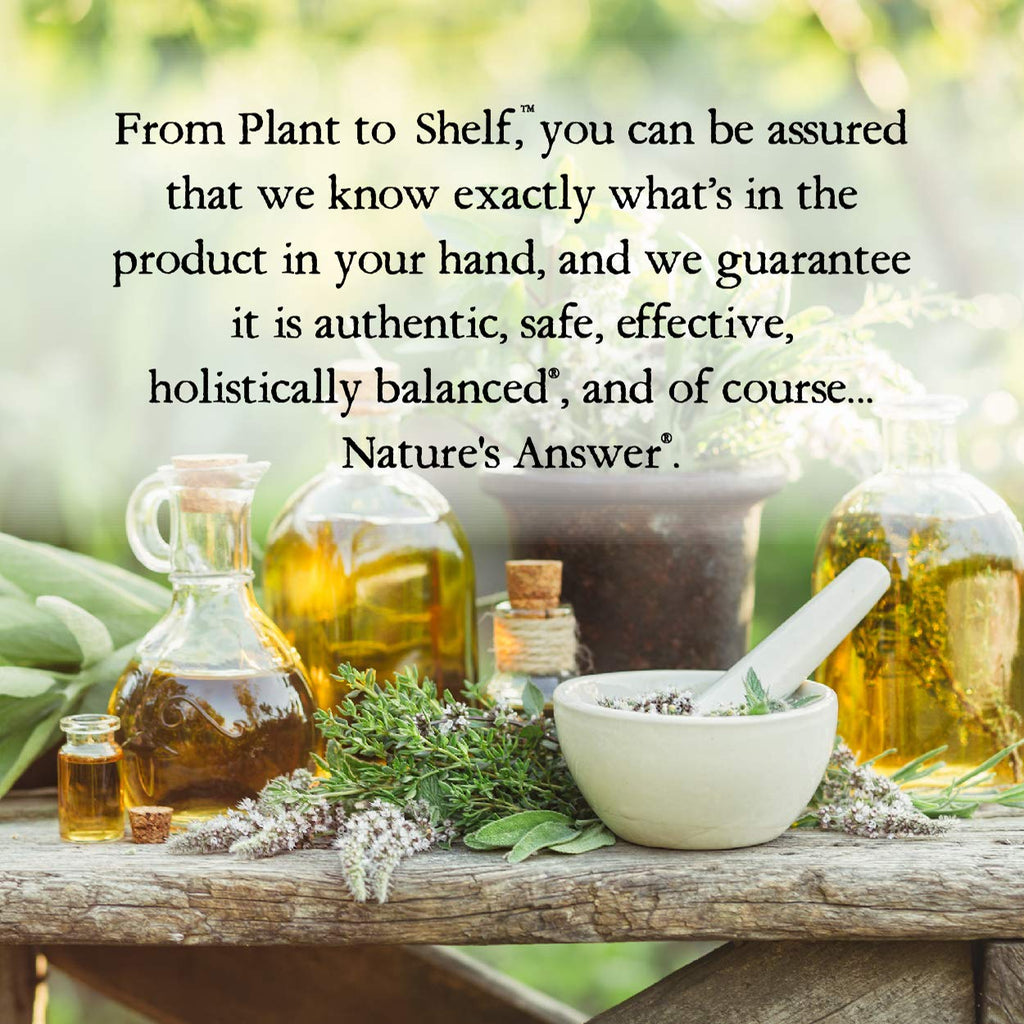 Nature's Answer PerioWash Mouthwash Alcohol-Free Cool Mint - 16 fl oz | Fluoride Free | Natural Breath Freshener | Stain Remover | Natural Teeth Whitener (Pack of 1)