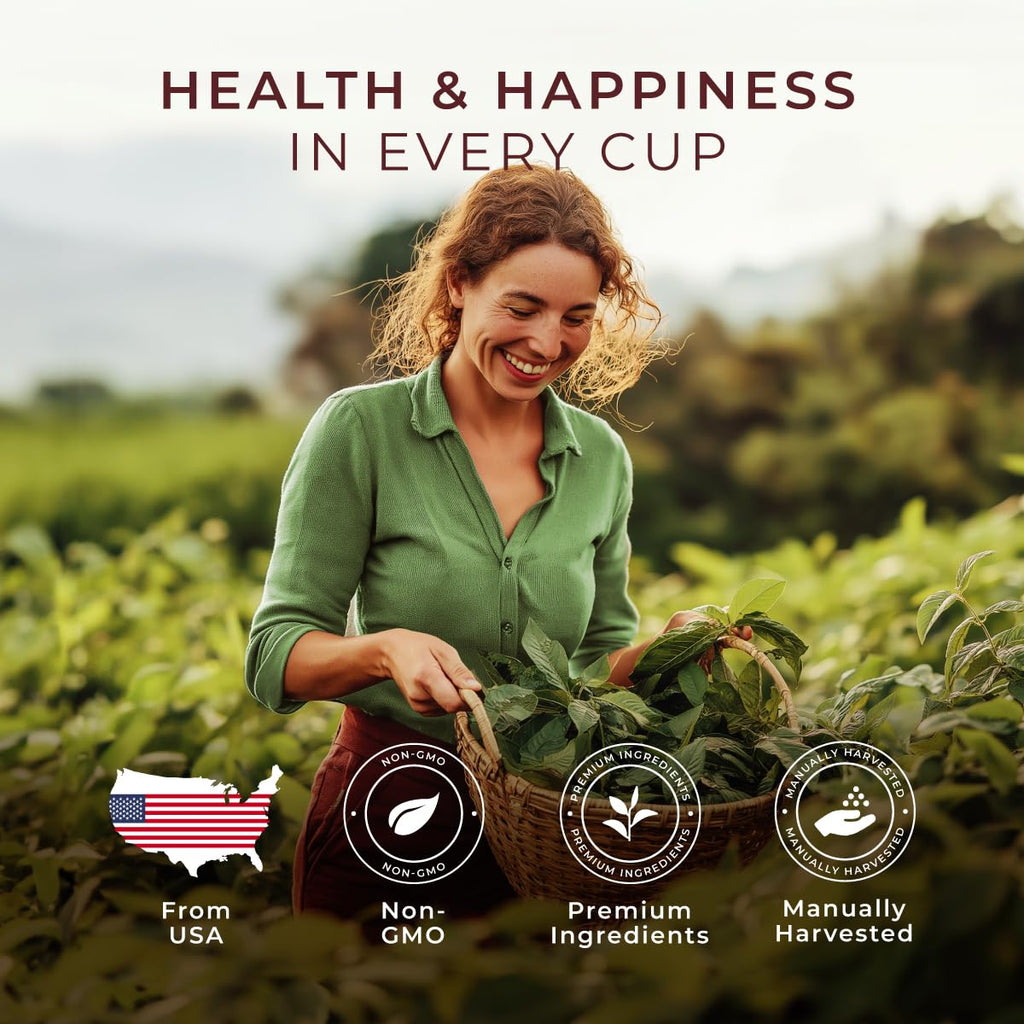 Gya Tea Co Spearmint Herbal Tea Bags (50 Bags) - Caffeine Free with a Tangy Flavor for All Day Comfort, Calming, Relaxing & Nourishing - Fruit & Herbal Blends