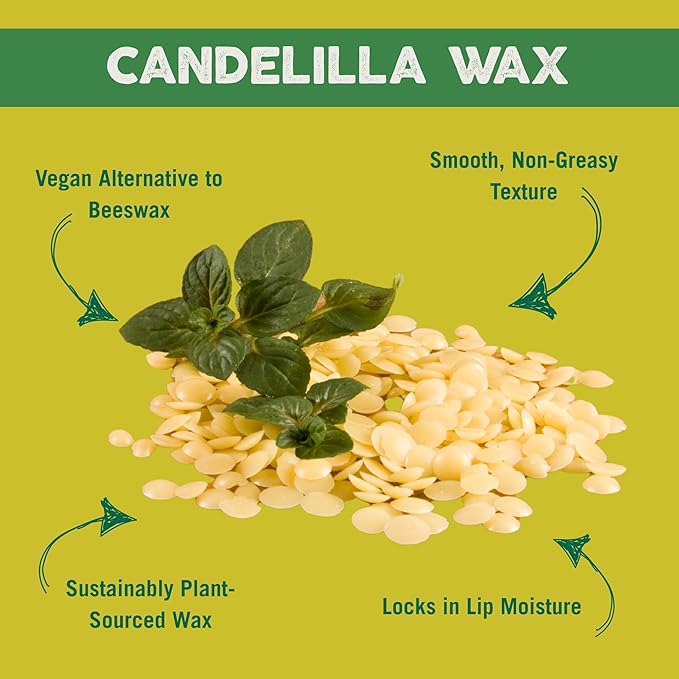 Vegan Lip Balm Lemon Lime Flavor 3 Pack - Bee Free with Candelilla Wax, Cocoa Butter & Coconut Oil Lip Care. Soothe & Moisturize Dry, Chapped Lips - 100% Plastic-Free Plant Pod Packaging - Made in USA