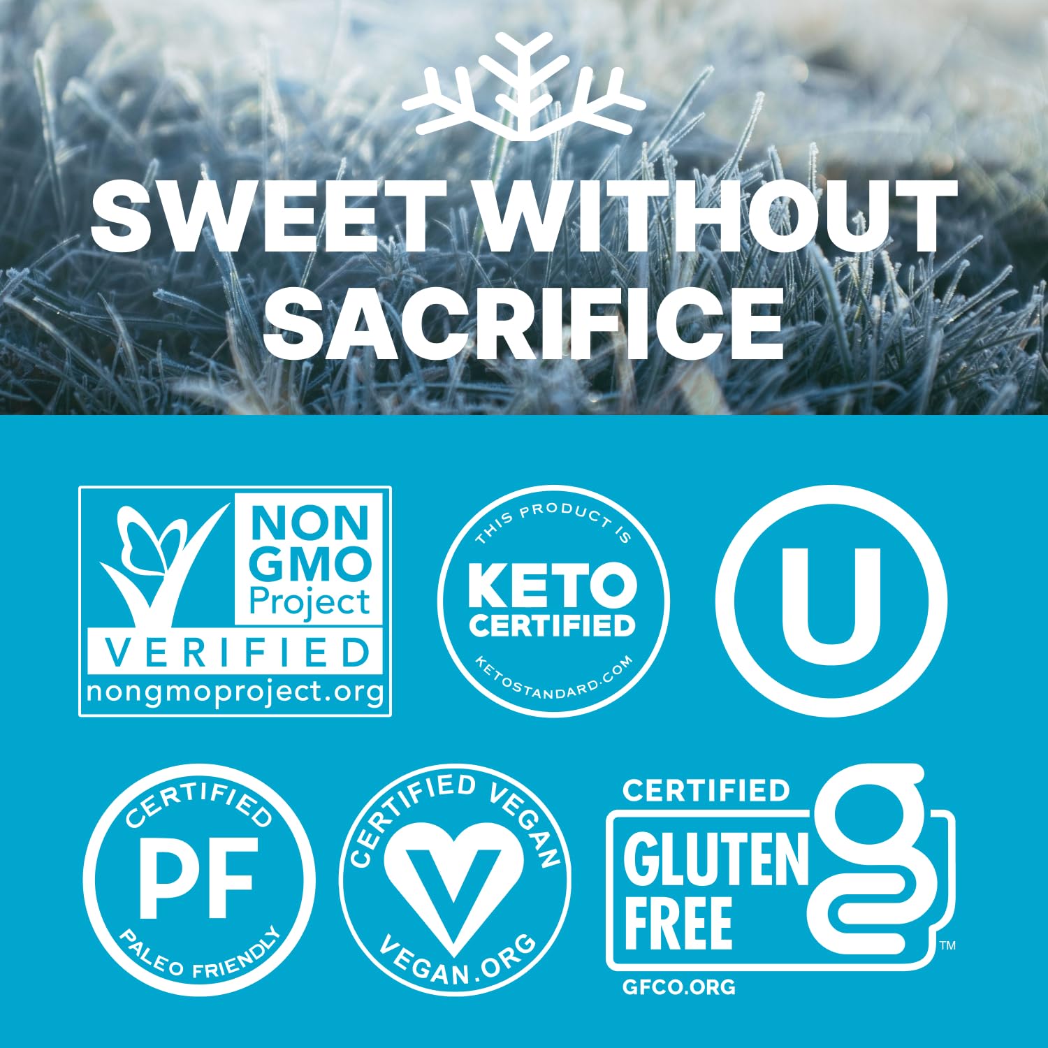 Peppermint KETO Xylitol Candy Chips (6-Pack) - SNØ 1.5oz Tin - Sugar-Free Candy With Only 2 Ingredients | Low Carbs, Diabetic-Friendly, Non-GMO, Vegan, GF & Kosher | Purest candy in the world