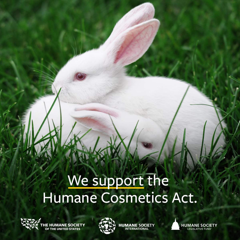 US Organic 100% Pure Peppermint Essential Oil - USDA Certified Organic - 30 ml Pack of 2 - w/Improved caps and droppers (More Size Variations Available)